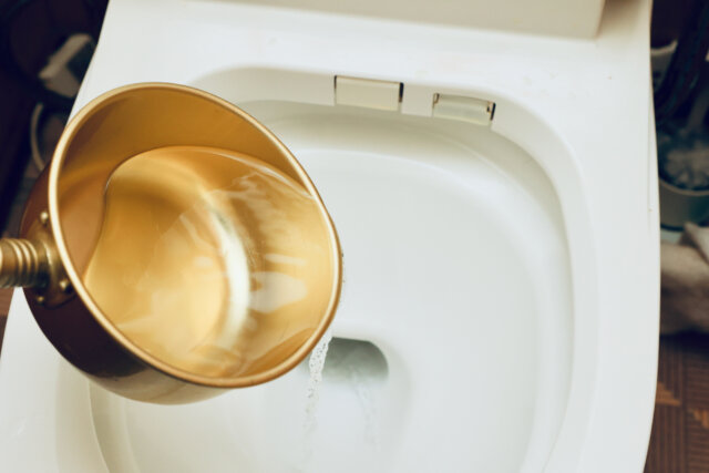 トイレ逆流時の対処法：効果的な6つの方法