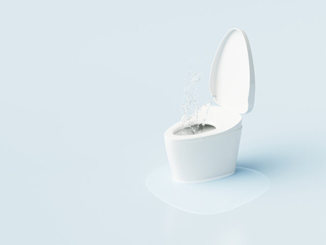 トイレ逆流の主な4つの原因：自宅で確認すべきポイント