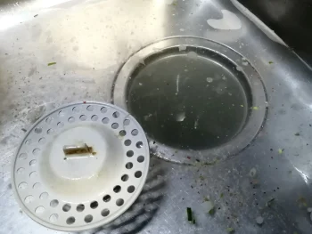 排水口から水が上がってくる！原因と自分でできる対処法・予防策を専門家が徹底解説